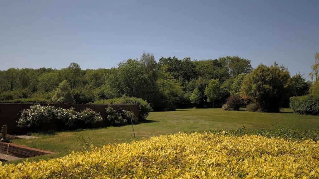 Paddock Barn ~ Short & Long Term Stay, Pets Welcome ~ Woodbridge, Framlingham Ar Cretingham Ngoại thất bức ảnh